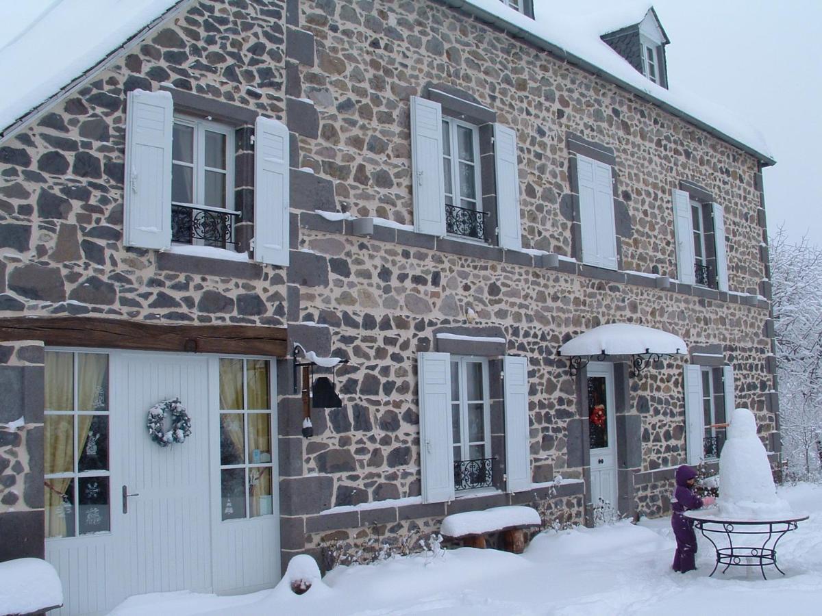 Maison D'Hotes La Nichee Rochefort-Montagne Luaran gambar